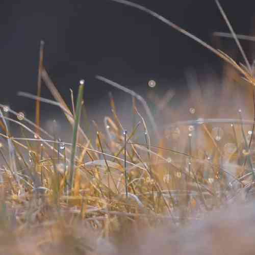 امیرمحمد خیرخواه آروم آروم شدی عمر و جونم مثل شبگردی که عاشقم